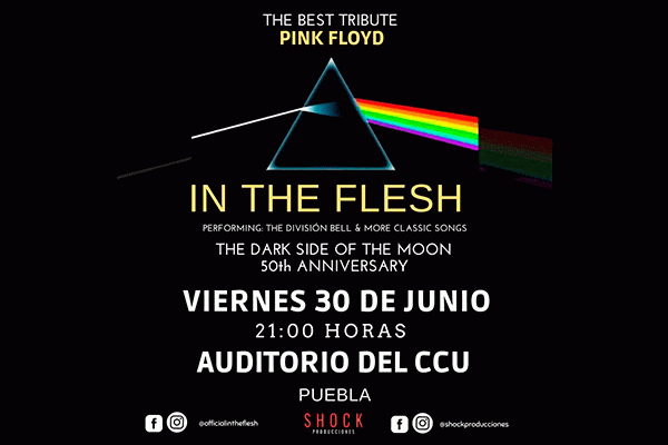 Tributo a Pink Floyd, Live Concert by In the Flesh. Puebla